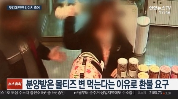 사진=연합뉴스TV