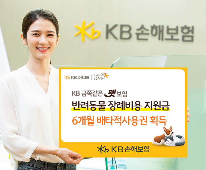 ‘특허’ 경쟁 보험업계…KB·한화손보, 배타적 사용권 획득